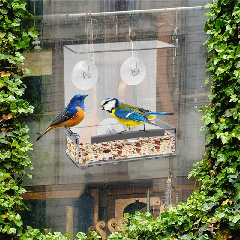 Transform Your Garden with the Acrylic Bird Outdoor Hummingbird Feeder